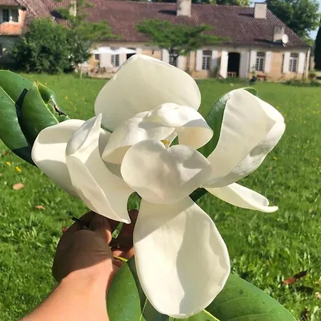 Сasa de vacaciones La Chartreuse Maison D'artistes