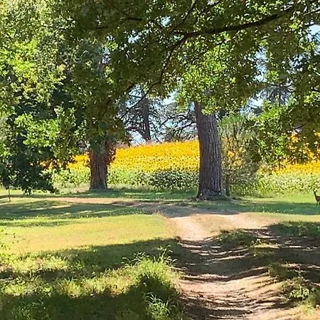La Chartreuse Maison D'artistes *