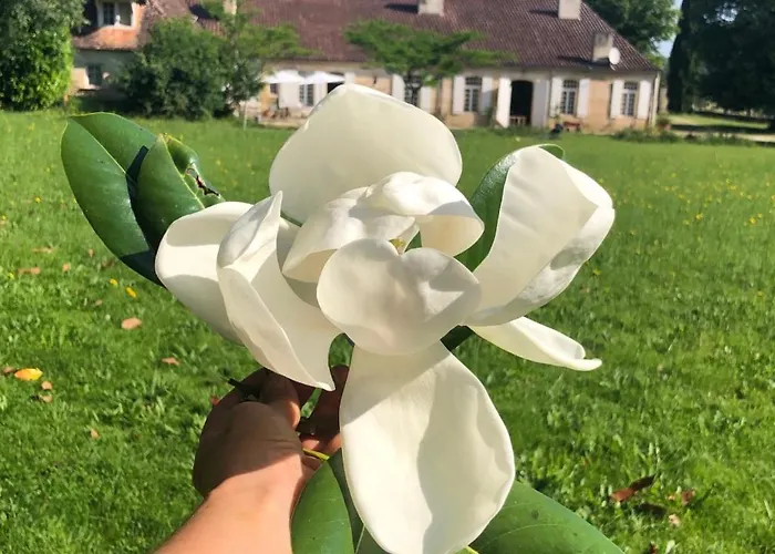 Дом отдыха La Chartreuse Maison D'artistes